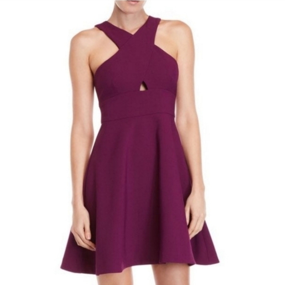 Likely Plum Cutout Criss Cross Skater Dress - Picture 1 of 11